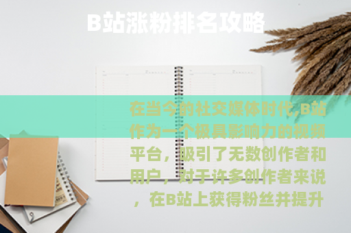 B站涨粉排名攻略