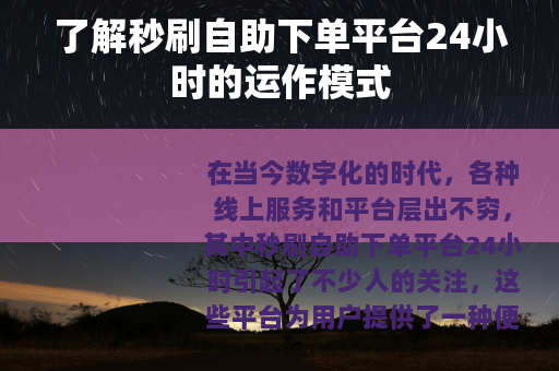了解秒刷自助下单平台24小时的运作模式