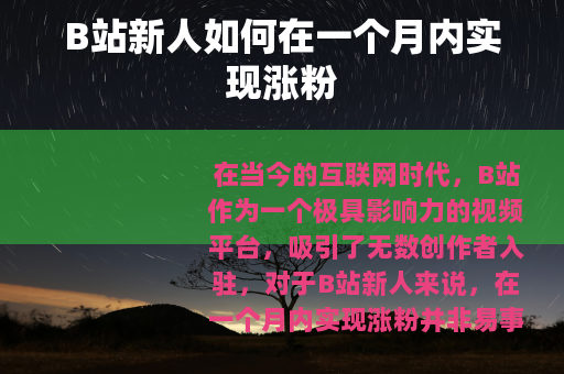 B站新人如何在一个月内实现涨粉