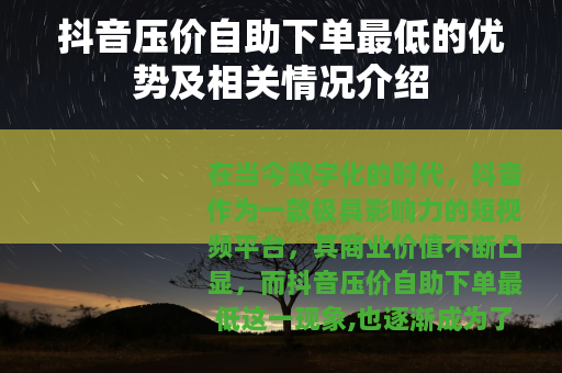抖音压价自助下单最低的优势及相关情况介绍