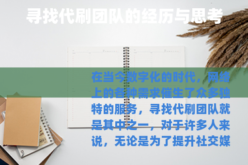 寻找代刷团队的经历与思考