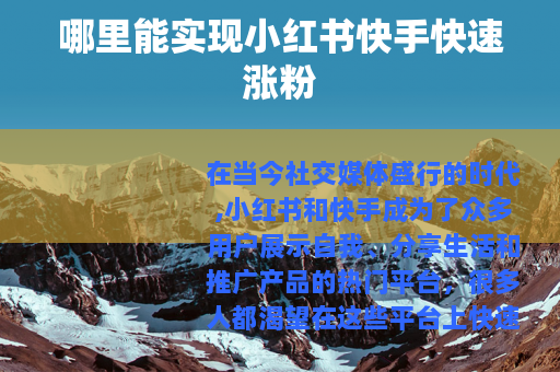 哪里能实现小红书快手快速涨粉