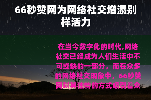 66秒赞网为网络社交增添别样活力