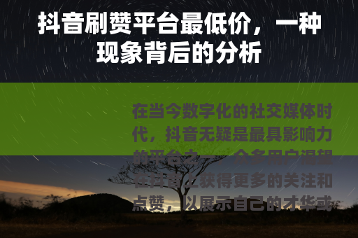 抖音刷赞平台最低价，一种现象背后的分析