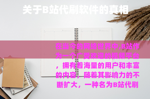 关于B站代刷软件的真相