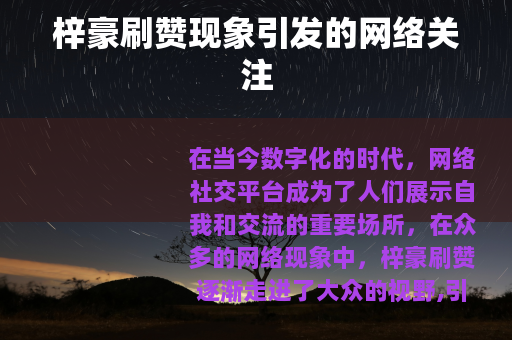 梓豪刷赞现象引发的网络关注
