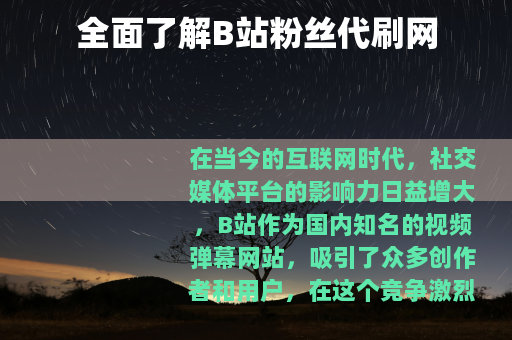 全面了解B站粉丝代刷网