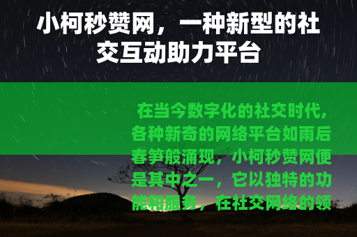 小柯秒赞网，一种新型的社交互动助力平台