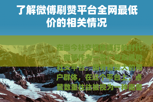 了解微傅刷赞平台全网最低价的相关情况