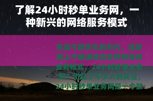 了解24小时秒单业务网，一种新兴的网络服务模式