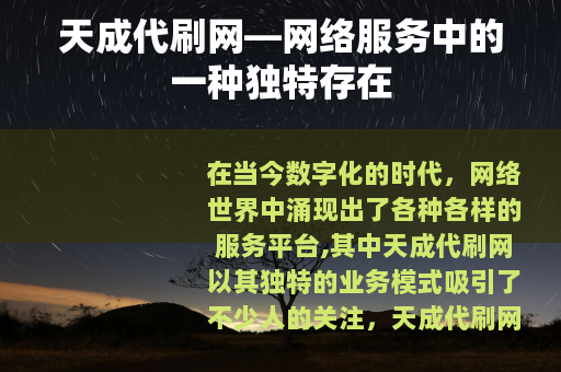 天成代刷网—网络服务中的一种独特存在