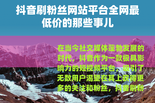 抖音刷粉丝网站平台全网最低价的那些事儿
