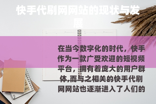 快手代刷网网站的现状与发展