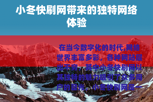 小冬快刷网带来的独特网络体验