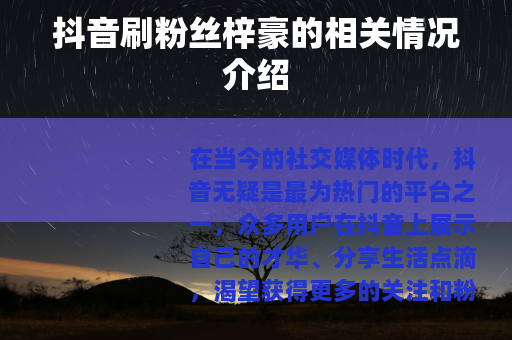 抖音刷粉丝梓豪的相关情况介绍