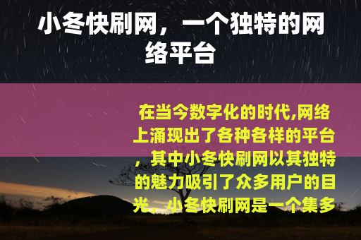 小冬快刷网，一个独特的网络平台