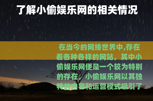 了解小偷娱乐网的相关情况