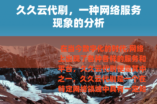 久久云代刷，一种网络服务现象的分析