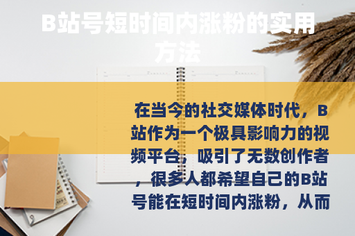 B站号短时间内涨粉的实用方法