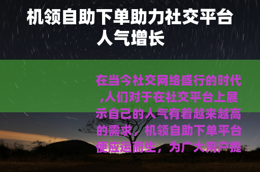 机领自助下单助力社交平台人气增长