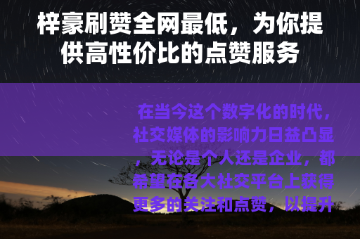 梓豪刷赞全网最低，为你提供高性价比的点赞服务