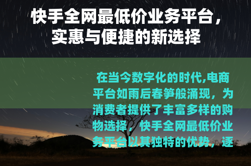 快手全网最低价业务平台，实惠与便捷的新选择