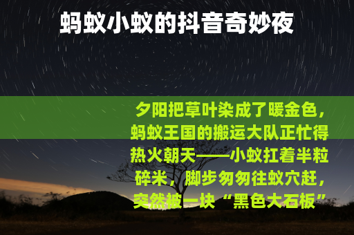 蚂蚁小蚁的抖音奇妙夜