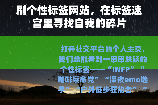 刷个性标签网站，在标签迷宫里寻找自我的碎片