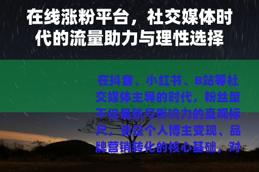 在线涨粉平台，社交媒体时代的流量助力与理性选择