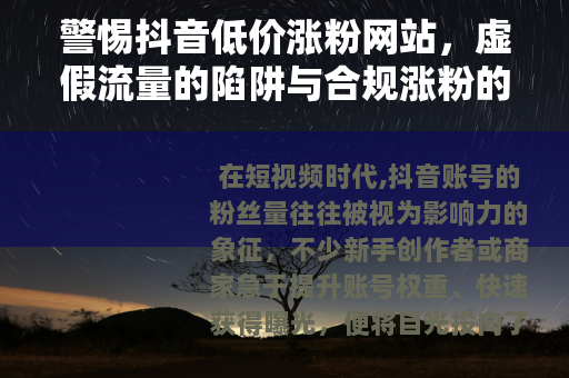 警惕抖音低价涨粉网站，虚假流量的陷阱与合规涨粉的正道