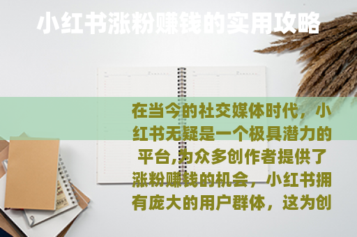 小红书涨粉赚钱的实用攻略