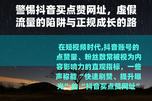警惕抖音买点赞网址，虚假流量的陷阱与正规成长的路径