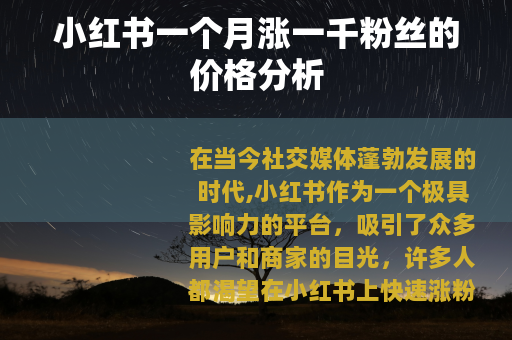 小红书一个月涨一千粉丝的价格分析