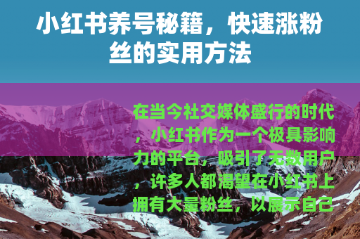 小红书养号秘籍，快速涨粉丝的实用方法