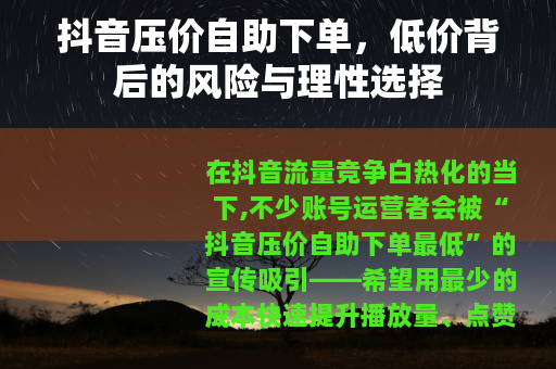 抖音压价自助下单，低价背后的风险与理性选择