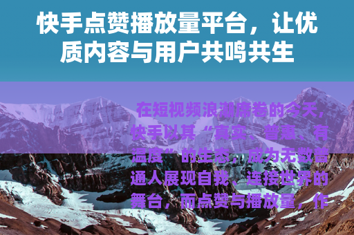 快手点赞播放量平台，让优质内容与用户共鸣共生