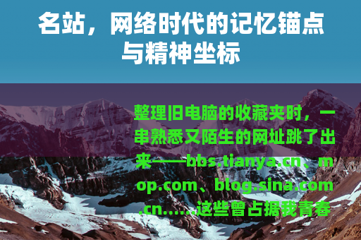 名站，网络时代的记忆锚点与精神坐标