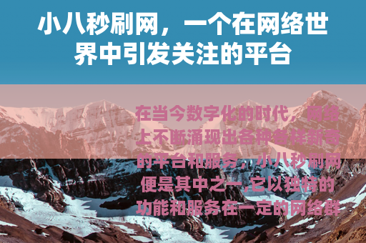 小八秒刷网，一个在网络世界中引发关注的平台