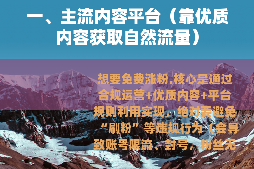 一、主流内容平台（靠优质内容获取自然流量）