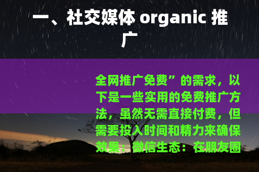 一、社交媒体 organic 推广