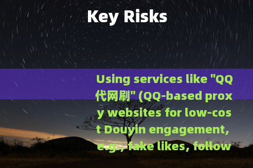 Key Risks