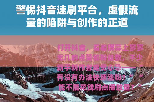 警惕抖音速刷平台，虚假流量的陷阱与创作的正道