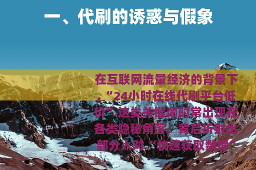 一、代刷的诱惑与假象