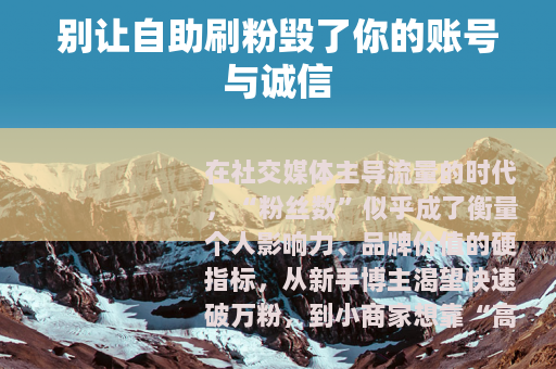 别让自助刷粉毁了你的账号与诚信