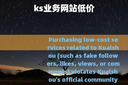ks业务网站低价