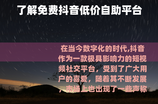 了解免费抖音低价自助平台