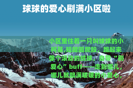 球球的爱心刷满小区啦