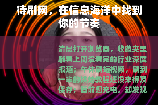 待刷网，在信息海洋中找到你的节奏