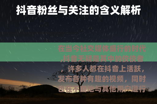 抖音粉丝与关注的含义解析