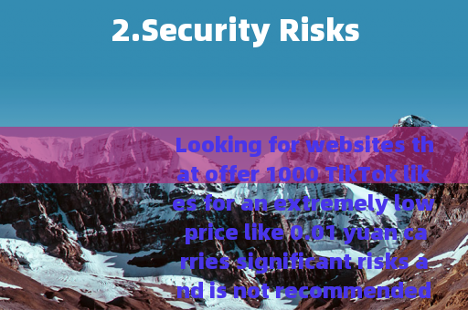 2.Security Risks
